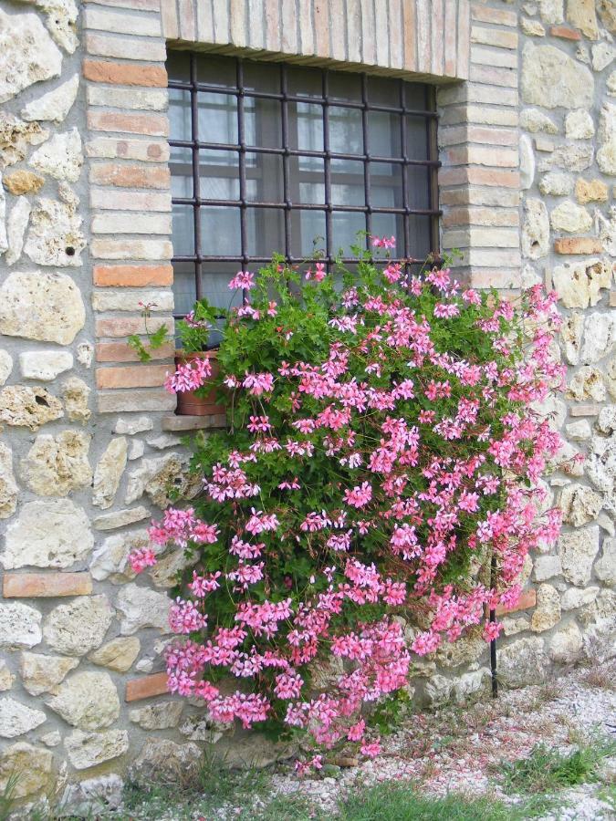 Agriturismo Podere Dell' Olmo Amelia Exterior photo